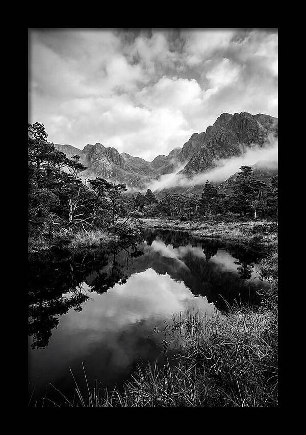 Connemara Bog Reflection Study
