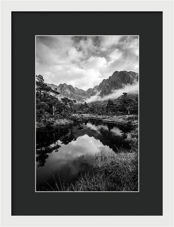 Connemara Bog Reflection Study