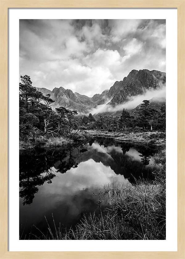 Connemara Bog Reflection Study