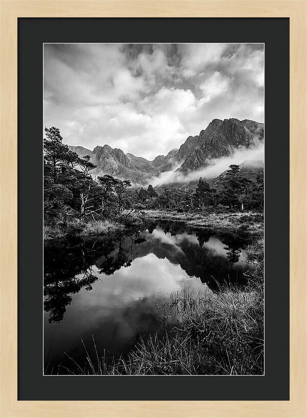 Connemara Bog Reflection Study