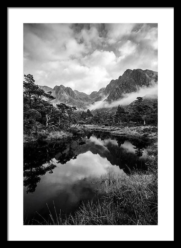 Connemara Bog Reflection Study