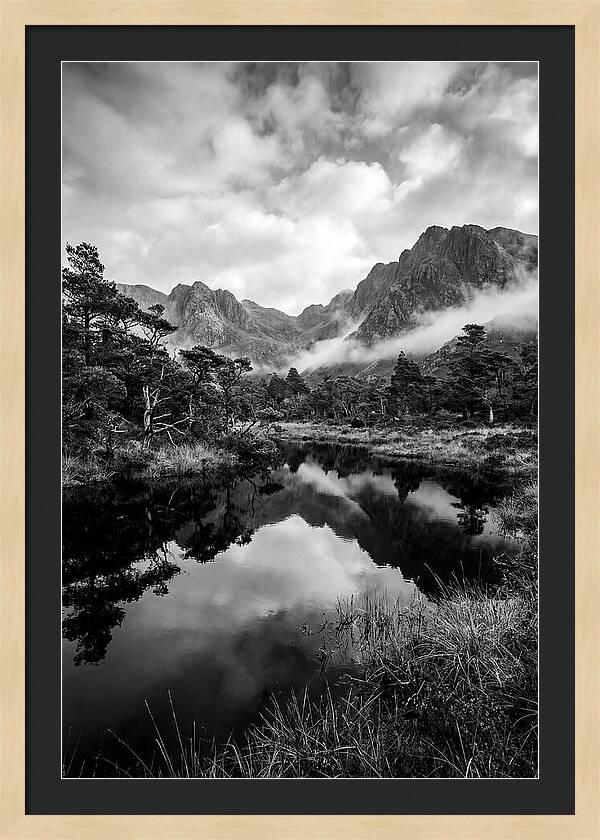 Connemara Bog Reflection Study