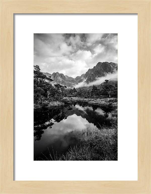 Connemara Bog Reflection Study