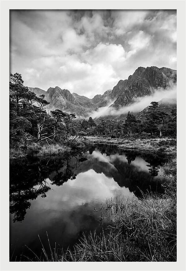 Connemara Bog Reflection Study