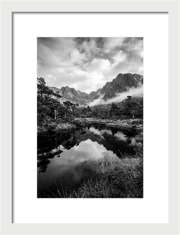 Connemara Bog Reflection Study