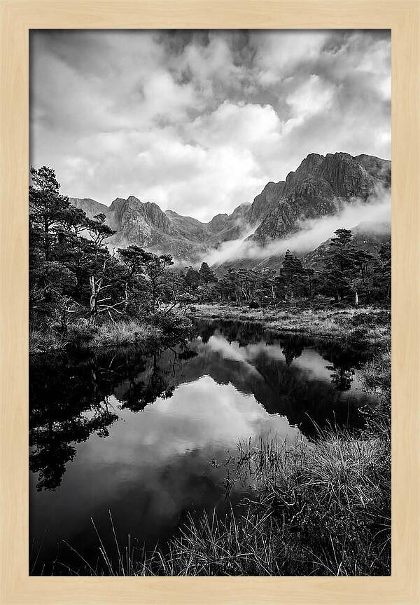 Connemara Bog Reflection Study