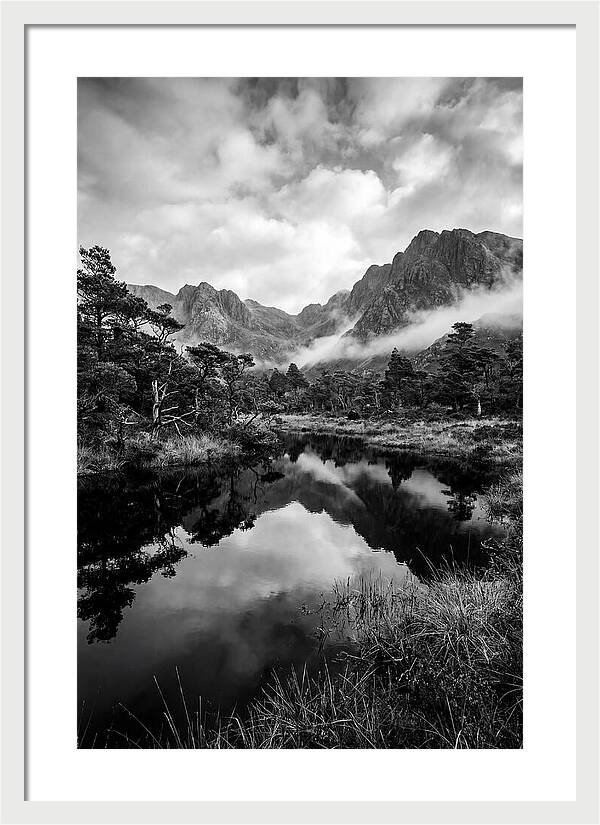 Connemara Bog Reflection Study