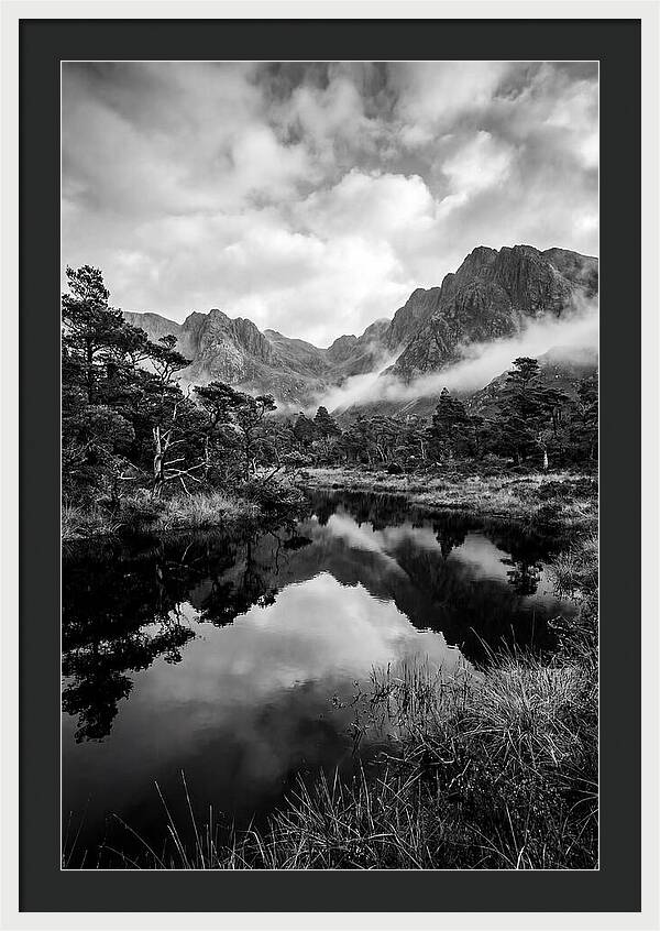 Connemara Bog Reflection Study