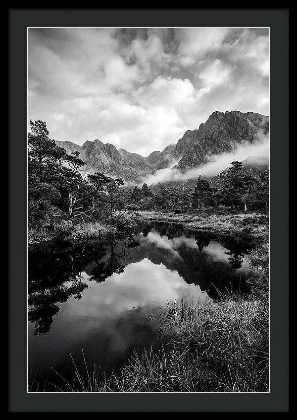 Connemara Bog Reflection Study