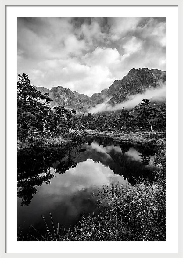 Connemara Bog Reflection Study