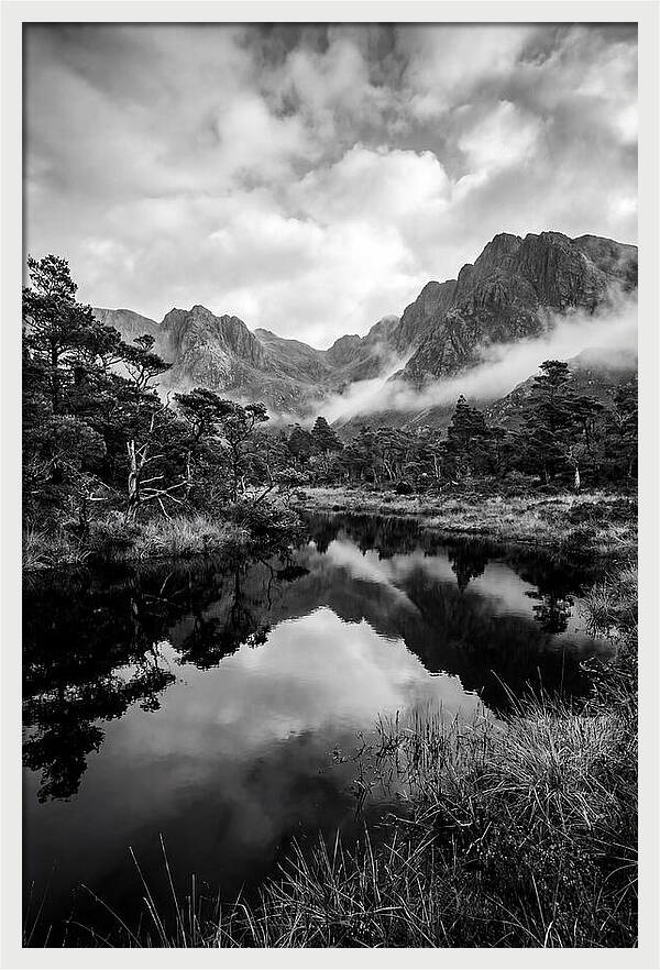 Connemara Bog Reflection Study