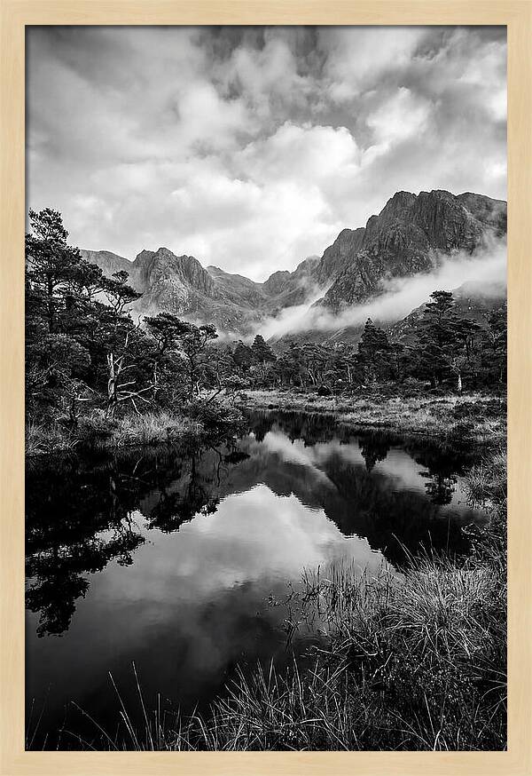 Connemara Bog Reflection Study