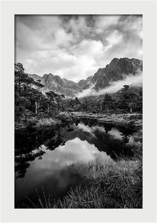 Connemara Bog Reflection Study