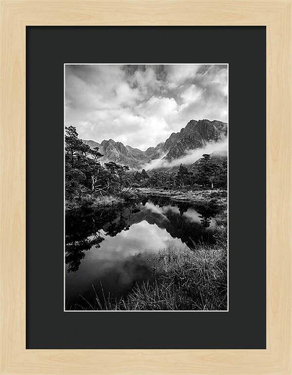 Connemara Bog Reflection Study