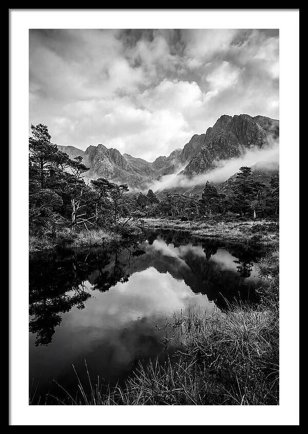 Connemara Bog Reflection Study