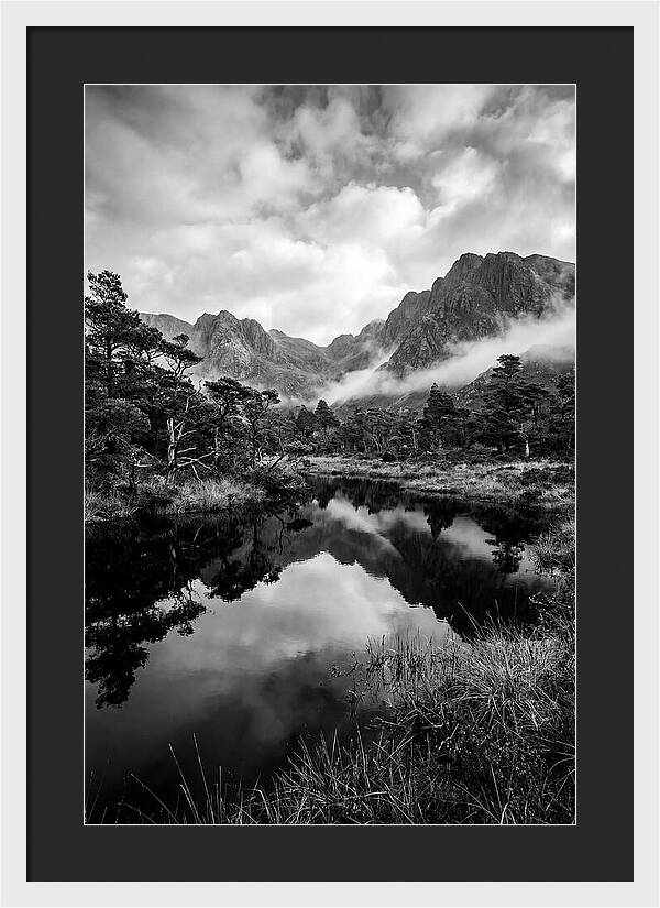 Connemara Bog Reflection Study