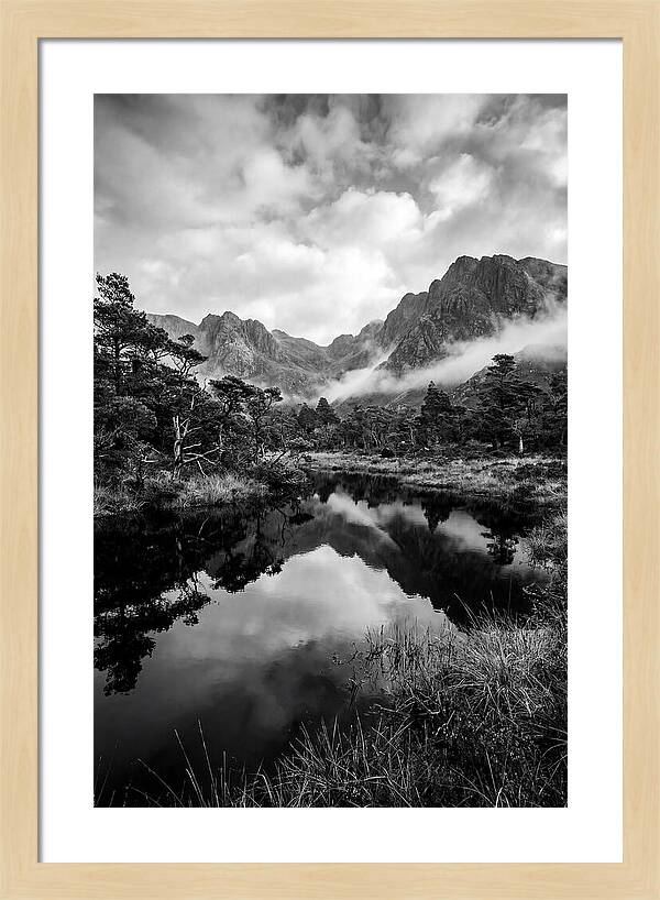 Connemara Bog Reflection Study