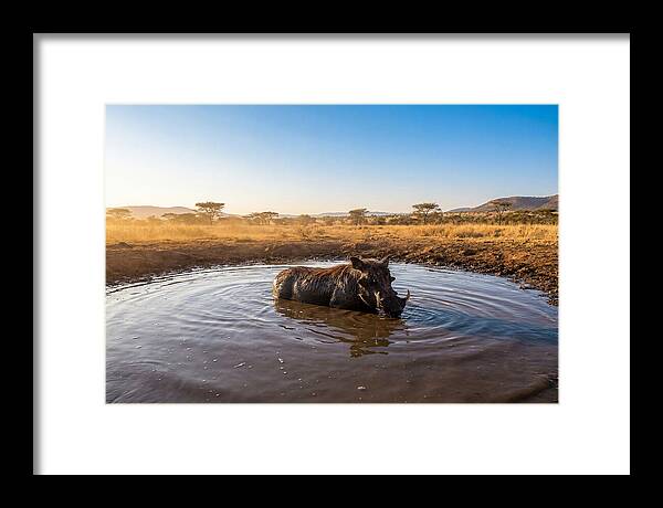 Cooling Off In The Wild