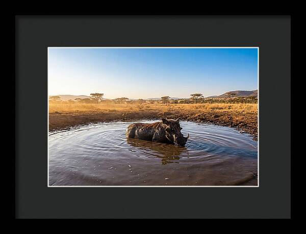 Cooling Off In The Wild