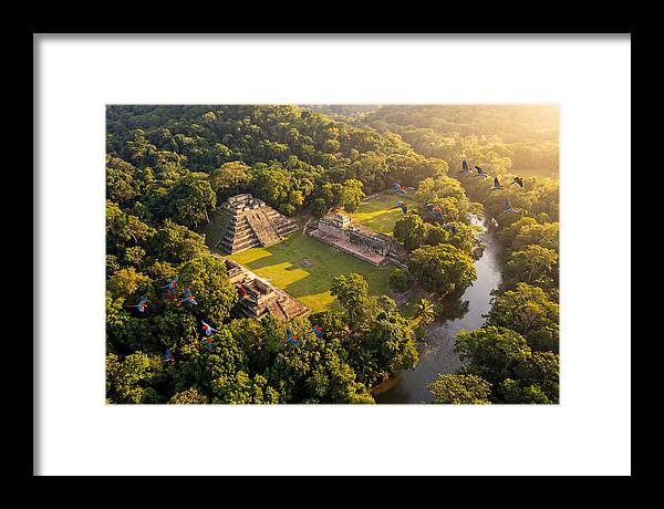 Copan Archaeological Site From Above