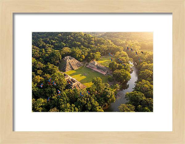 Copan Archaeological Site From Above