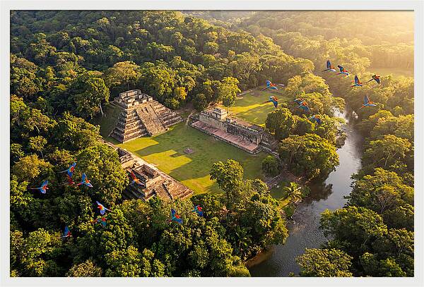 Copan Archaeological Site From Above