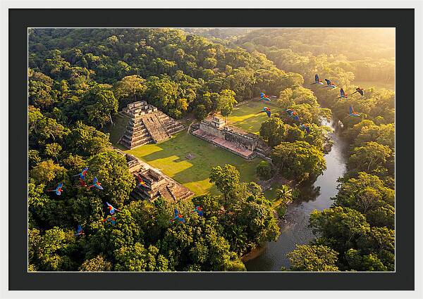 Copan Archaeological Site From Above
