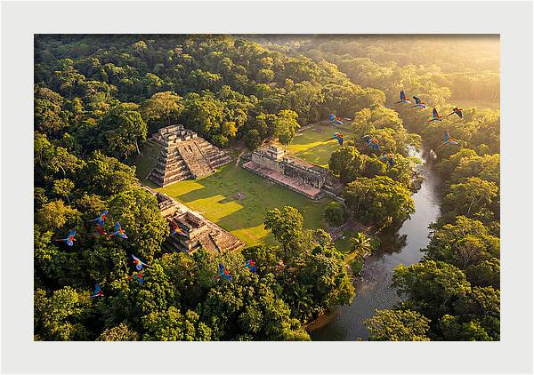 Copan Archaeological Site From Above