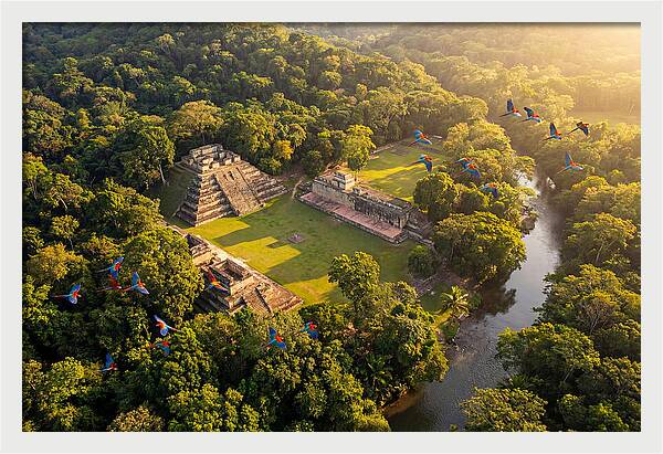 Copan Archaeological Site From Above