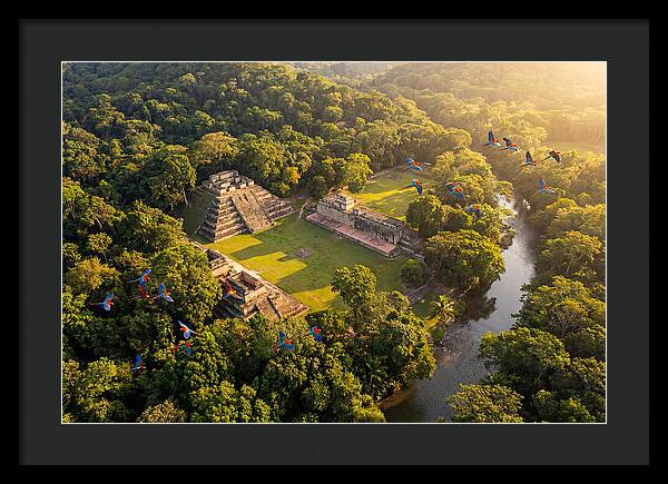 Copan Archaeological Site From Above