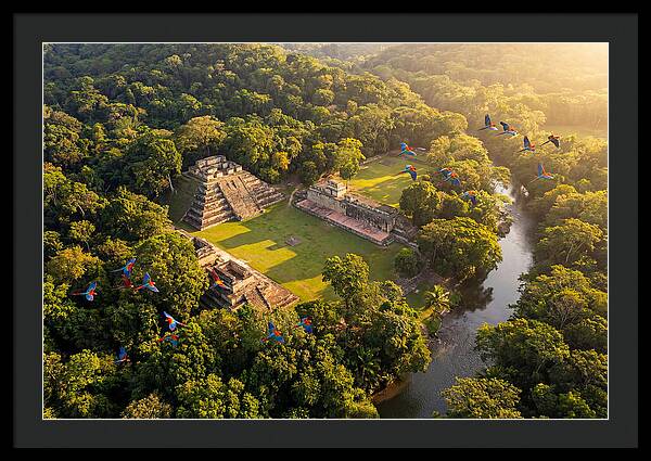 Copan Archaeological Site From Above