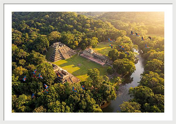 Copan Archaeological Site From Above
