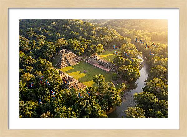 Copan Archaeological Site From Above