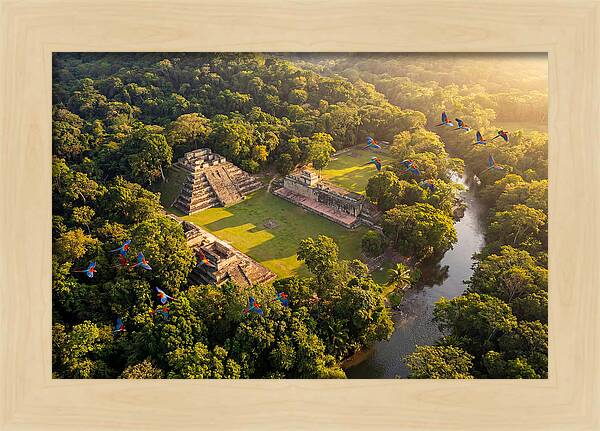 Copan Archaeological Site From Above