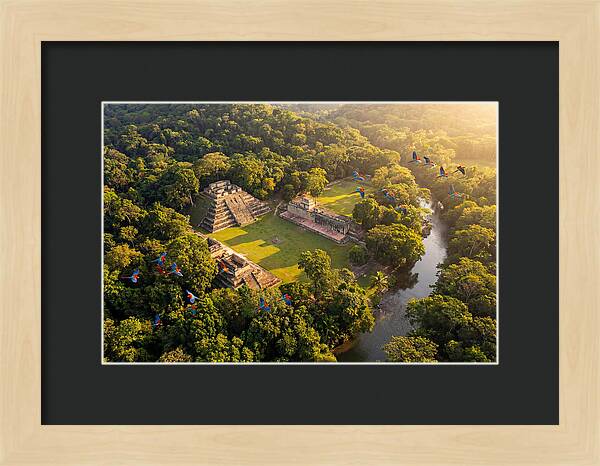 Copan Archaeological Site From Above