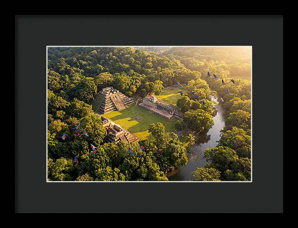 Copan Archaeological Site From Above