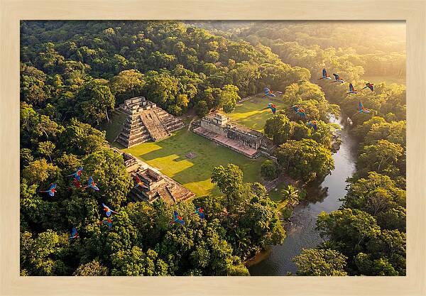 Copan Archaeological Site From Above