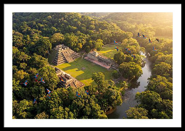 Copan Archaeological Site From Above