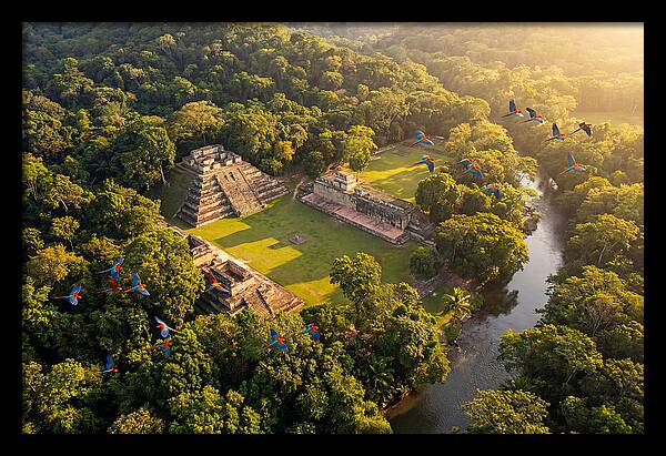 Copan Archaeological Site From Above