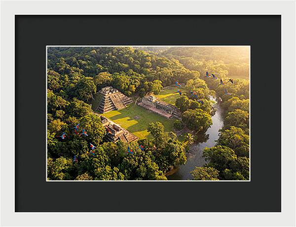 Copan Archaeological Site From Above