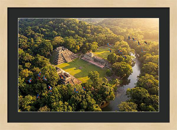 Copan Archaeological Site From Above