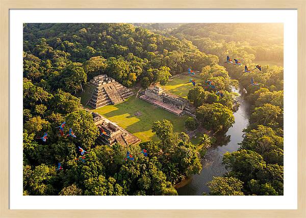 Copan Archaeological Site From Above