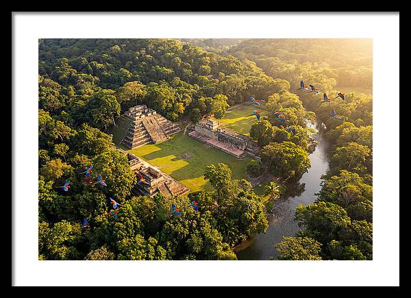 Copan Archaeological Site From Above