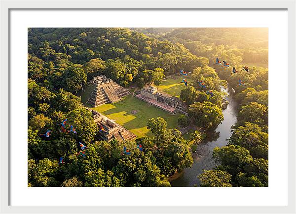 Copan Archaeological Site From Above