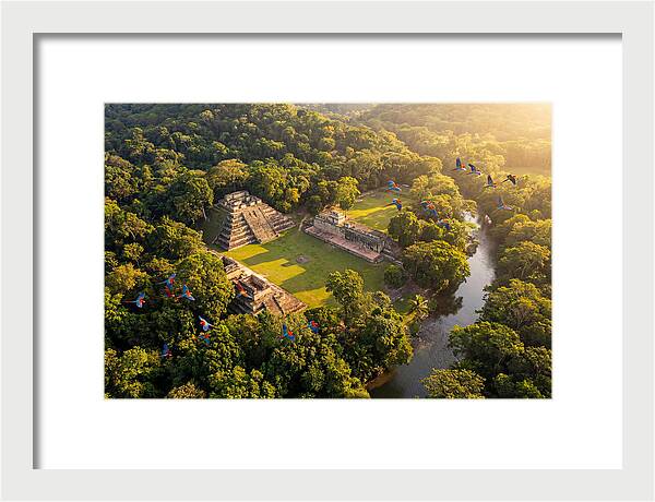 Copan Archaeological Site From Above