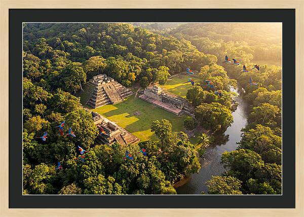 Copan Archaeological Site From Above