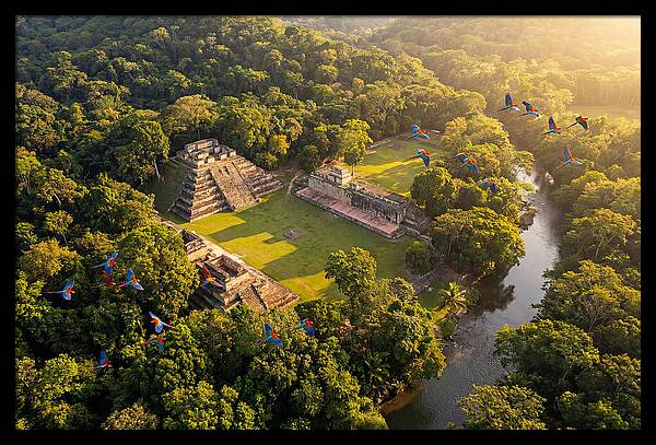 Copan Archaeological Site From Above