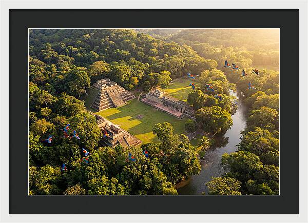 Copan Archaeological Site From Above