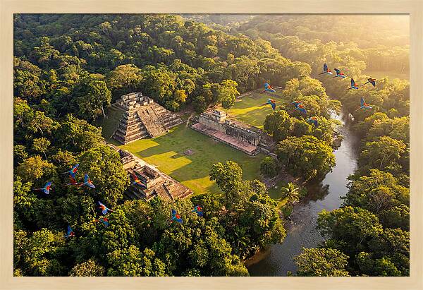 Copan Archaeological Site From Above