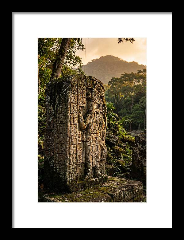 Copan Mayan Stelae At Golden Hour